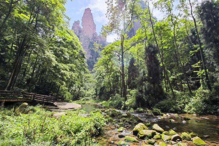 "Best Of Zhangjiajie" de 2 jours - Avatar World & Tianmen Mountain Tour