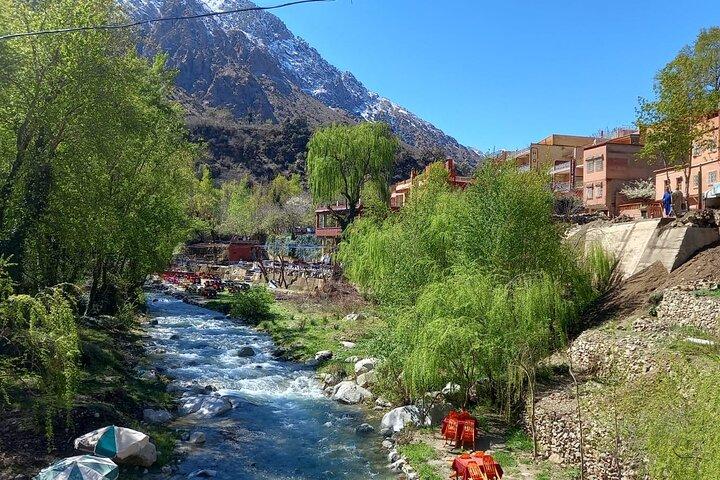 Ourika Valley and Atlas Mountains Day Trip