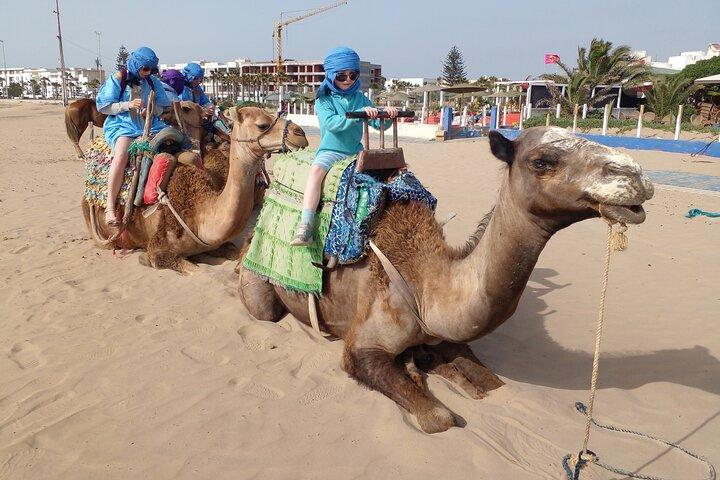 Essaouira: 2H camel/pick up and drop off including