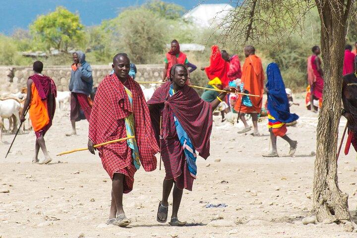 13 - Day Tanzania Safari : Great Migration, Kilimanjaro & Culture(タンザニア・サファリ:大移動、キリマンジャロ、文化)