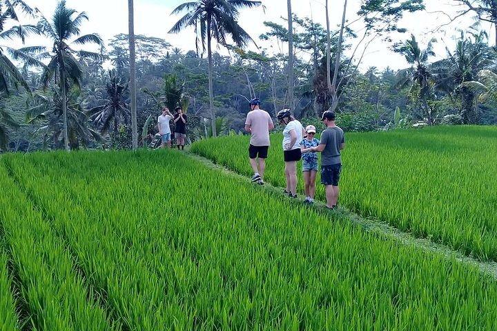 Bali cykel eventyr tur