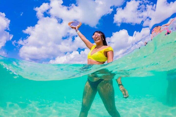カンクンからの送迎付きコスメルでの水中シュノーケル体験の日