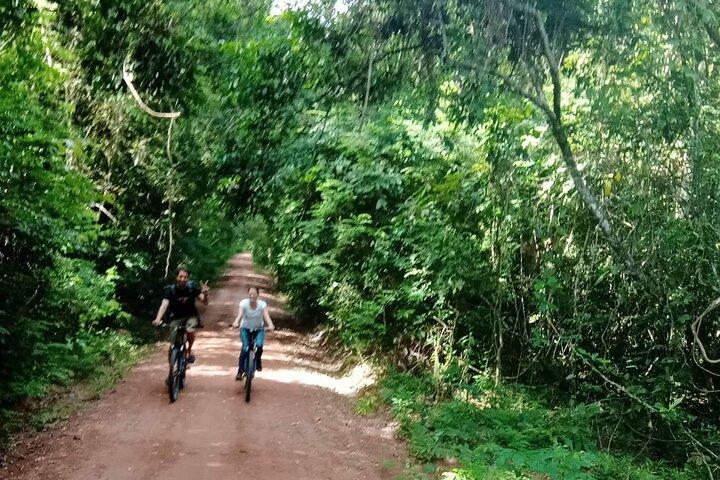 アンコール ワットと近くの寺院を巡る日没または日の出の自転車ツアー