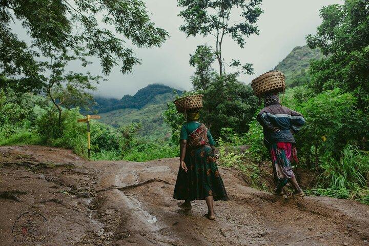 Cultuur en dieren in het wild in 3 dagen - Mikumi -Uluguru Trip