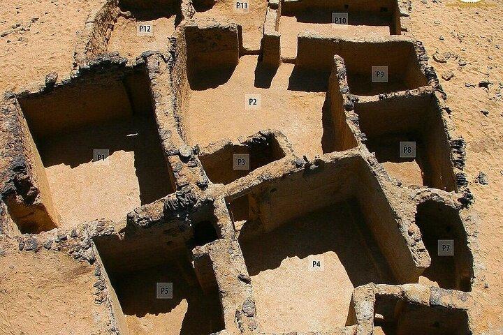 Excursion privée d'une journée à l'oasis de Bahariya au départ du Caire
