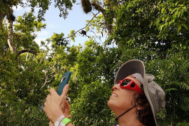 Excursion d'une journée sur le thème archéologique de Yaxha avec observation des singes