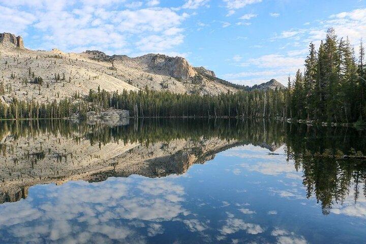 Soccer Fans 2026 : Yosemite & Kings Canyon NP 2 - Excursión de un día desde LA