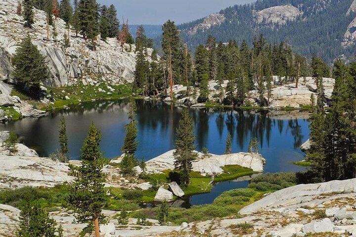 Voetbalfans 2026 : Yosemite & Kings Canyon NP 2 - Dagtour vanuit LA