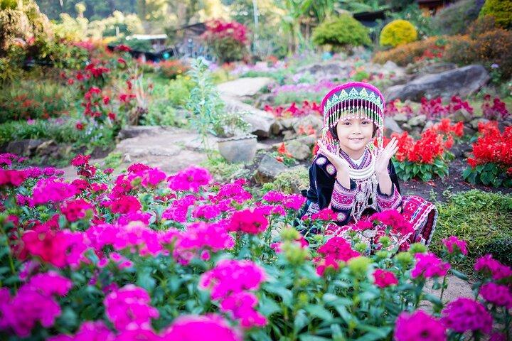 Halvdags Doi Suthep & Hmong Hill Tribe
