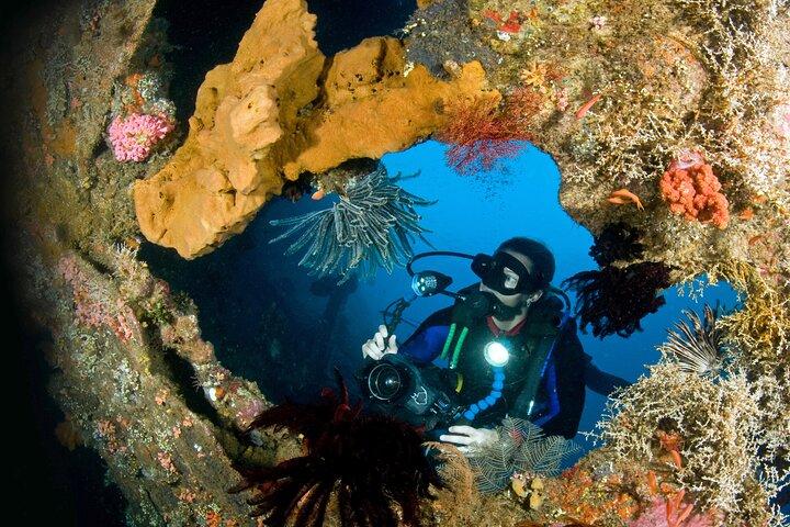 Day Trip for certified divers - 2 or 3 Dives in Tulamben (pick up in South Bali)