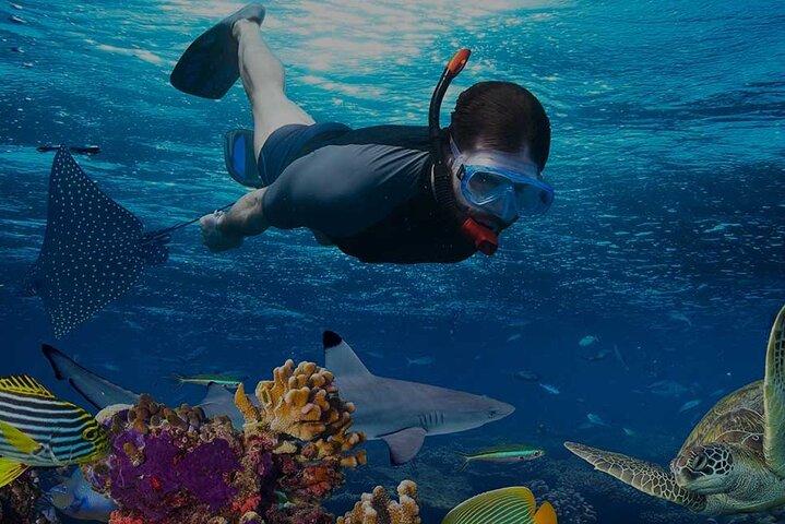 Hurghada fuld dag snorkling eventyr