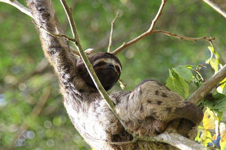 Iquitos Jungle Tour i 3 dagar