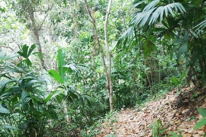 Passion Fruit and El Saltillo Waterfall Tour