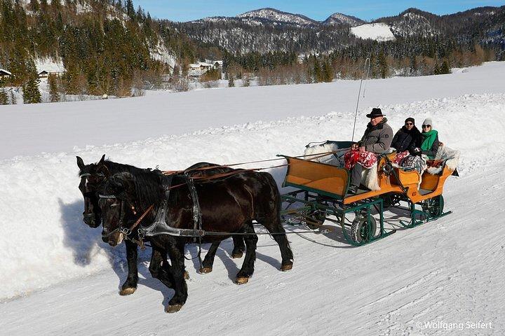 Private Pferdeschlittenfahrt ab Salzburg