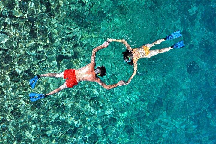 Aventura de esnórquel para grupos pequeños en San José del Cabo