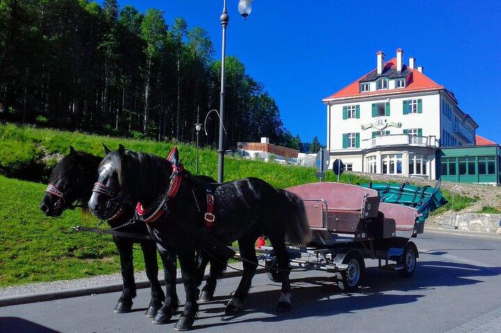 Privat Skip-the-line Neuschwanstein, Linderhof, Hohenschwangau