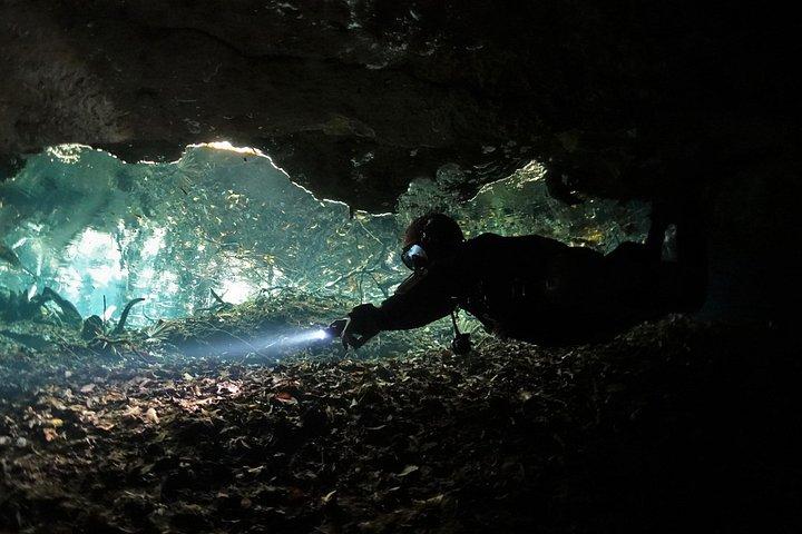 Private Full-Day Cenote Diving Experience 2 Dives with Lunch
