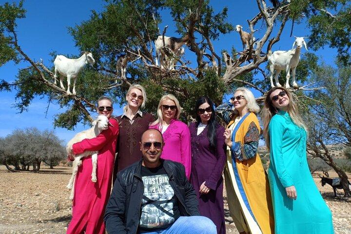 Din egen Marocko Essaouira Walking Tour