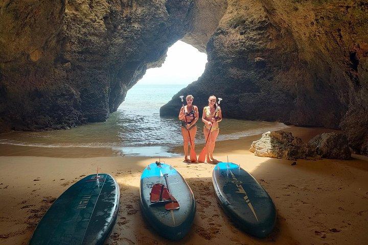 Ocean Sup and kayak tours