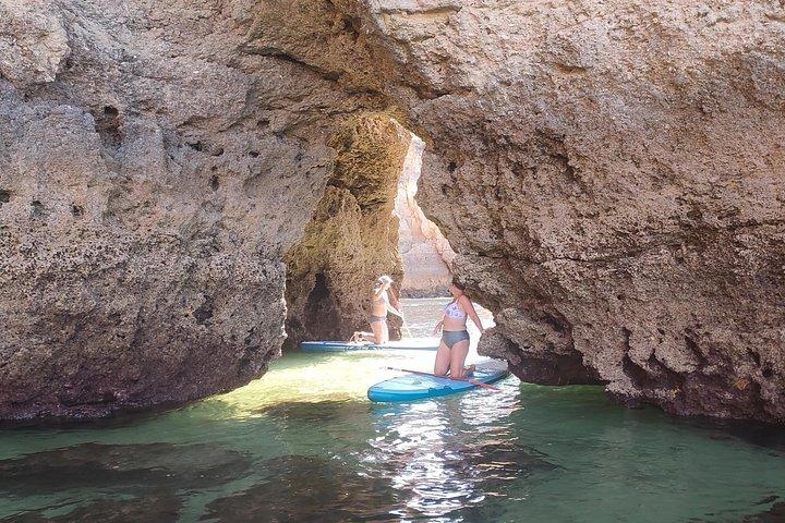 Ocean Sup and kayak tours