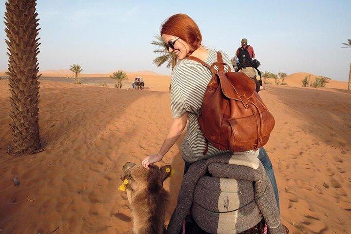 2-Day Zagora Desert Tour from Marrakech
