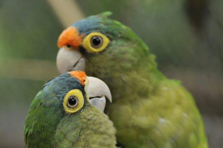 ナトゥワ救助センターへの野生動物ツアー-小グループ