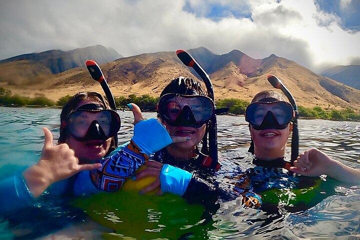 タートルタウンの海岸から海洋生物学者のガイド付きシュノーケルツアー