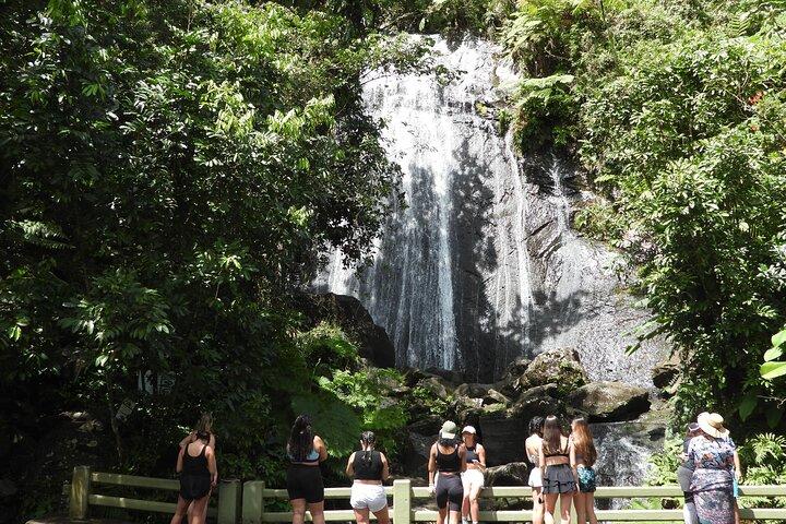 Tour de día completo: El Yunque, playa de Luquillo, kayak nocturno en Bio Bay