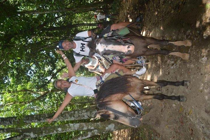 Samaná Bay: Bacardi Island and Limon Waterfall