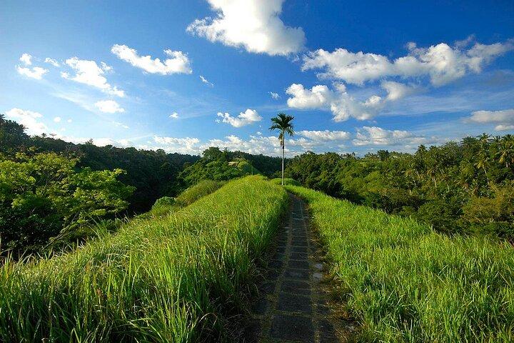 Bali Kintamani Tours