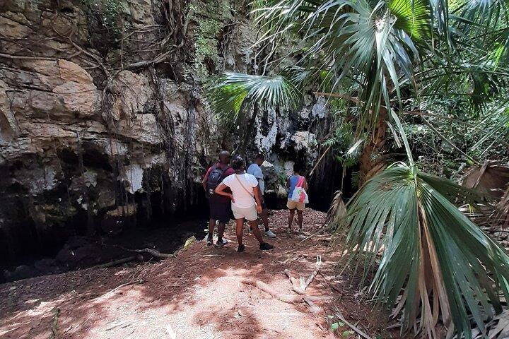 Tom Moores Jungle e Eco Tour