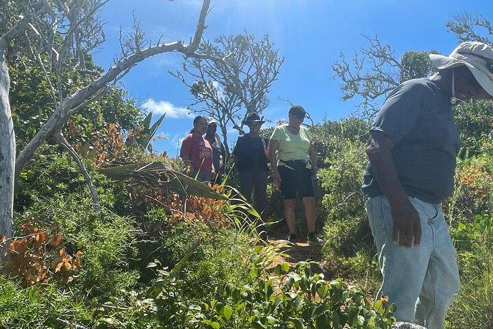 Tom Moores Jungle e Eco Tour