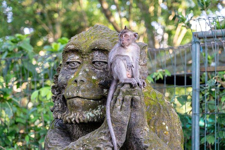 3 dage for det bedste af Ubud Private Tour