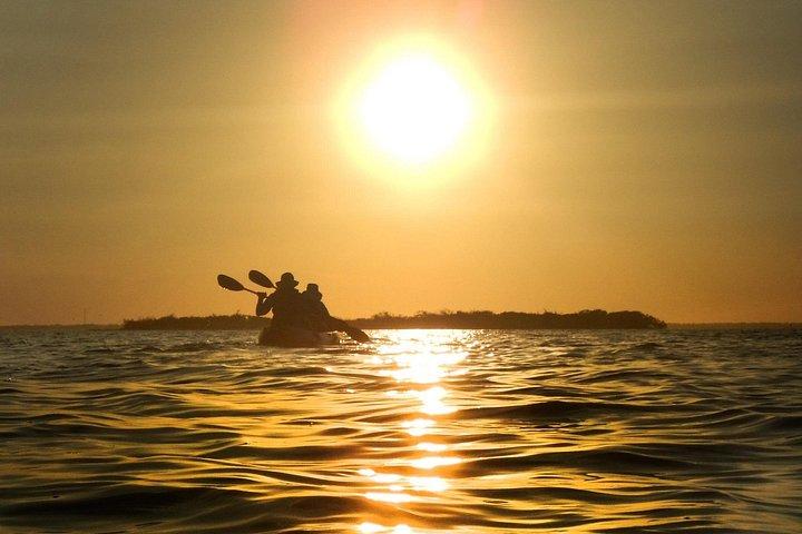 Manatees/Sunset/Bioluminescence Kayak Tour