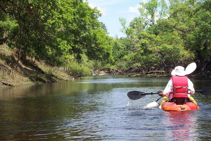 Manatees/Sunset/Bioluminescence Kayak Tour