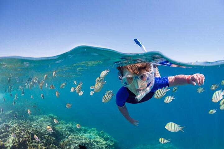 Oahu 5 - in - 1 Deluxe Cruise : Schildpad Snorkelen & Ocean Activiteiten