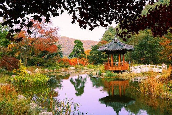 Facile tour privato a Nami Island, Garden of Morning Calm