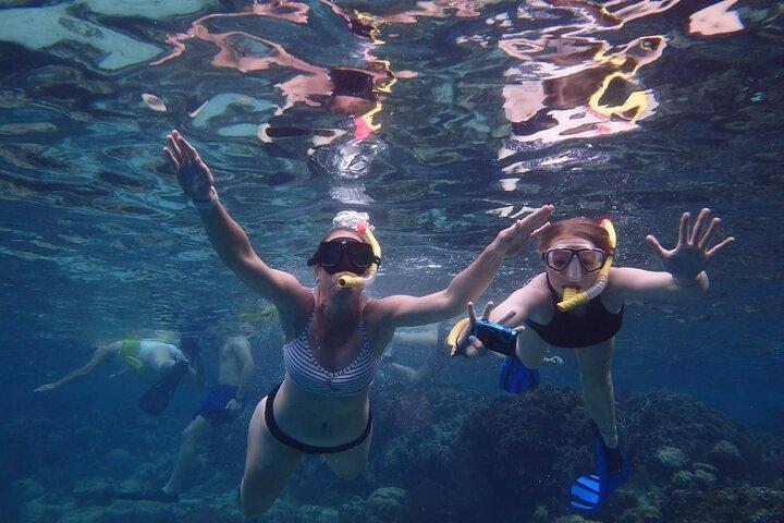 Snorkel de dia inteiro em Hol Chan, Shark Ray & More; San Pedro Belize