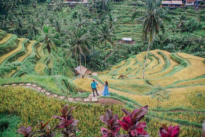 Ubud Greatest Tour : All-in-One Bali Experience