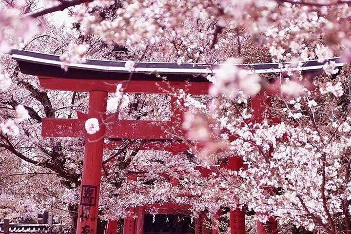 Traslado particular de chegada do aeroporto internacional de Kansai para a cidade de Kyoto