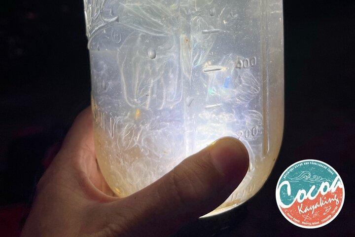 生物発光クリアボトムカヤックまたはパドルボードシットオントップカヤックハイブリッドツアー！