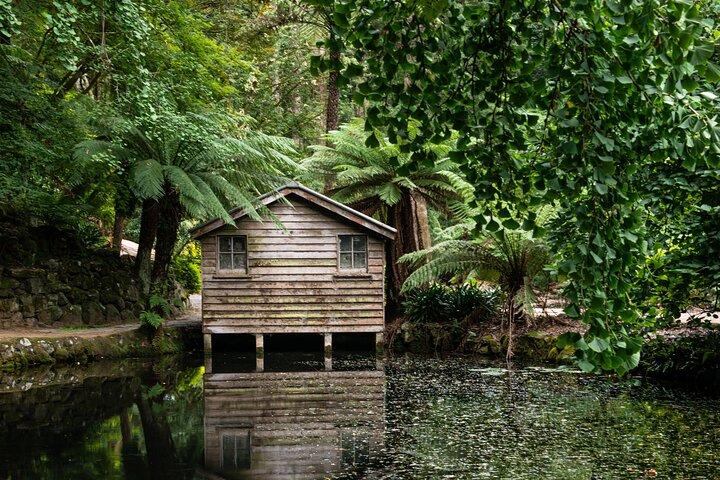 Visite privée d'une journée à Dandenong Ranges