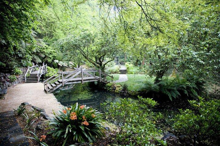 Visite privée d'une journée à Dandenong Ranges