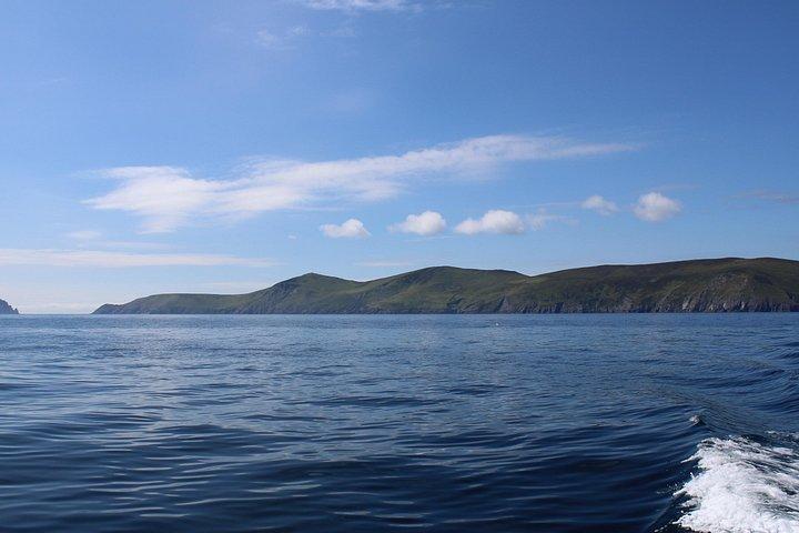 Aventuras en la manta de delfines Dingle