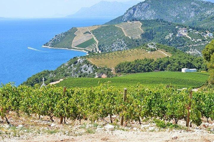 Privat rundtur i Kroatien
