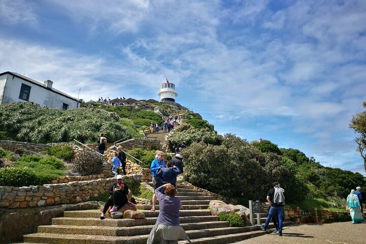 Best of the Cape Full Day Private Tour