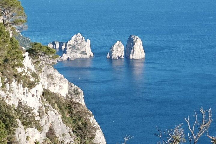 Excursion privée d'une journée à Capri, Anacapri et Grotte Bleue au départ de Naples