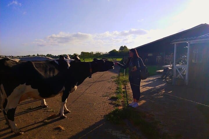 Best of Dutch Countryside: Giethoorn, Windmills, Secret Villages