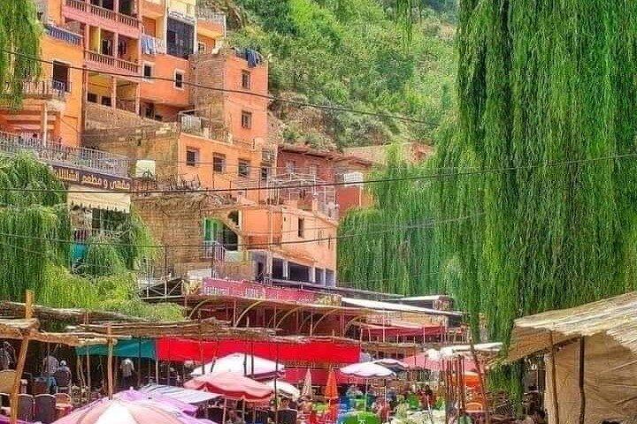 Shared day trip to Ourika
