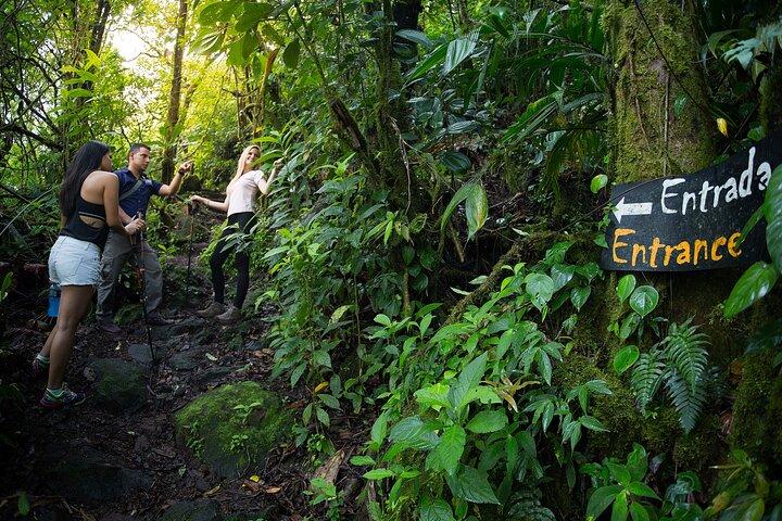 Expedición al Volcán Arenal desde Arenal